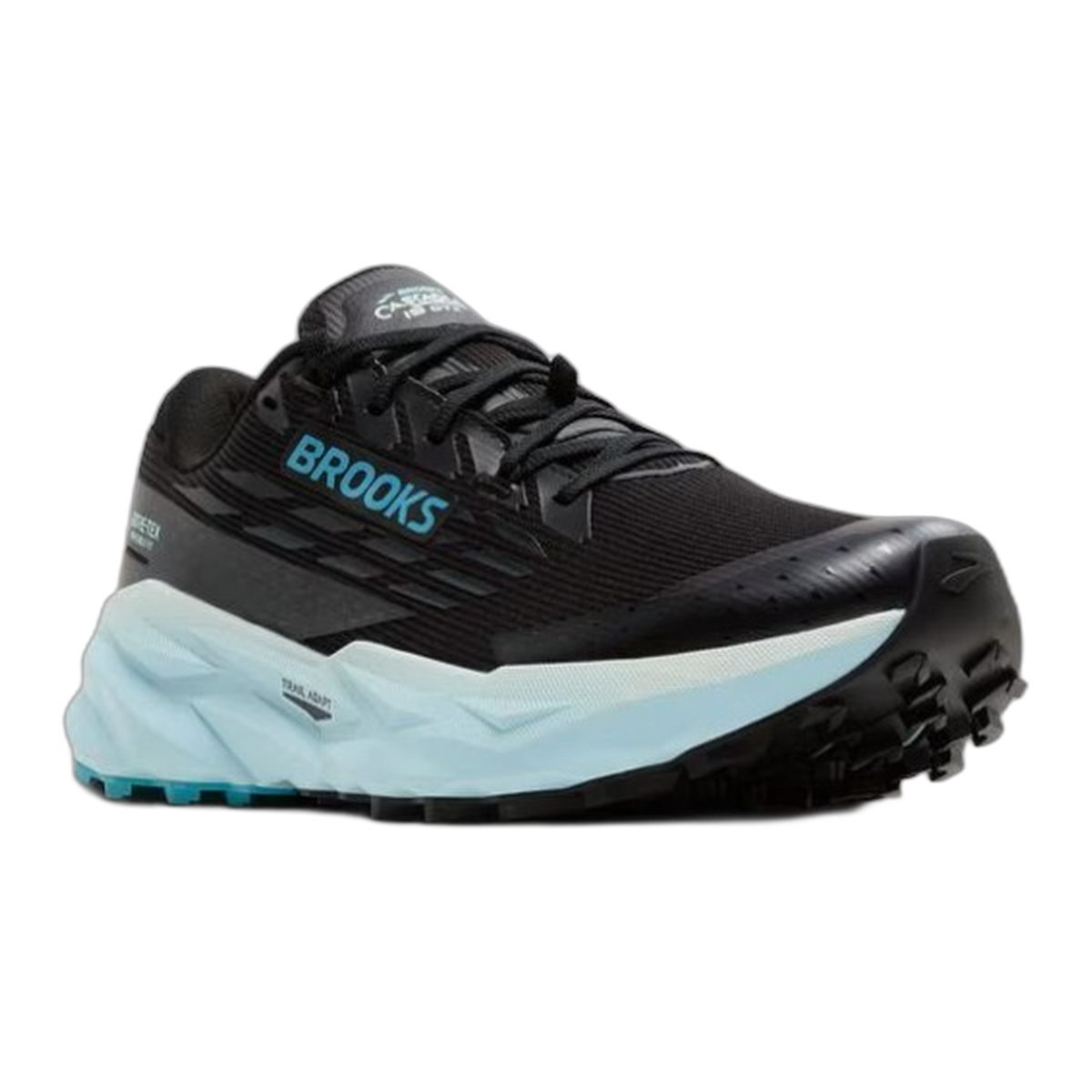 Women's Cascadia 19 GTX