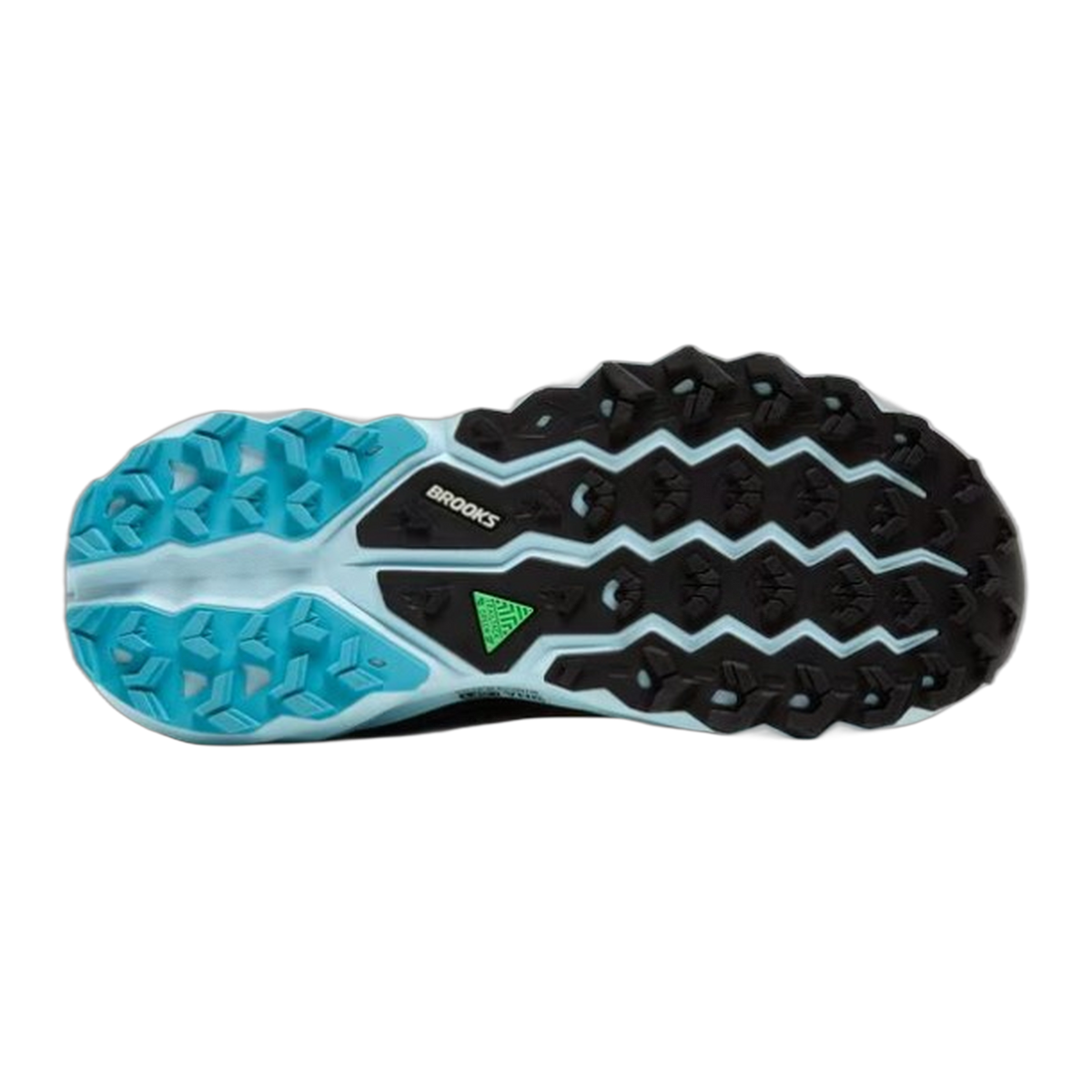 Women's Cascadia 19 GTX