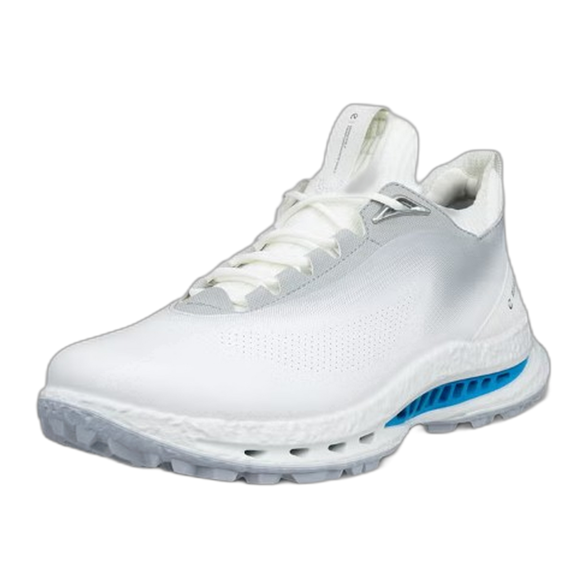 ECCO Golf Biom C5