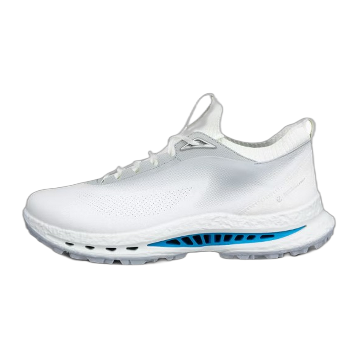 ECCO Golf Biom C5