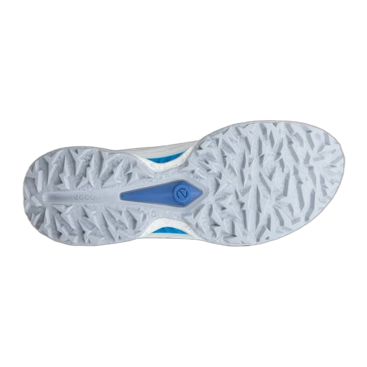 ECCO Golf Biom C5