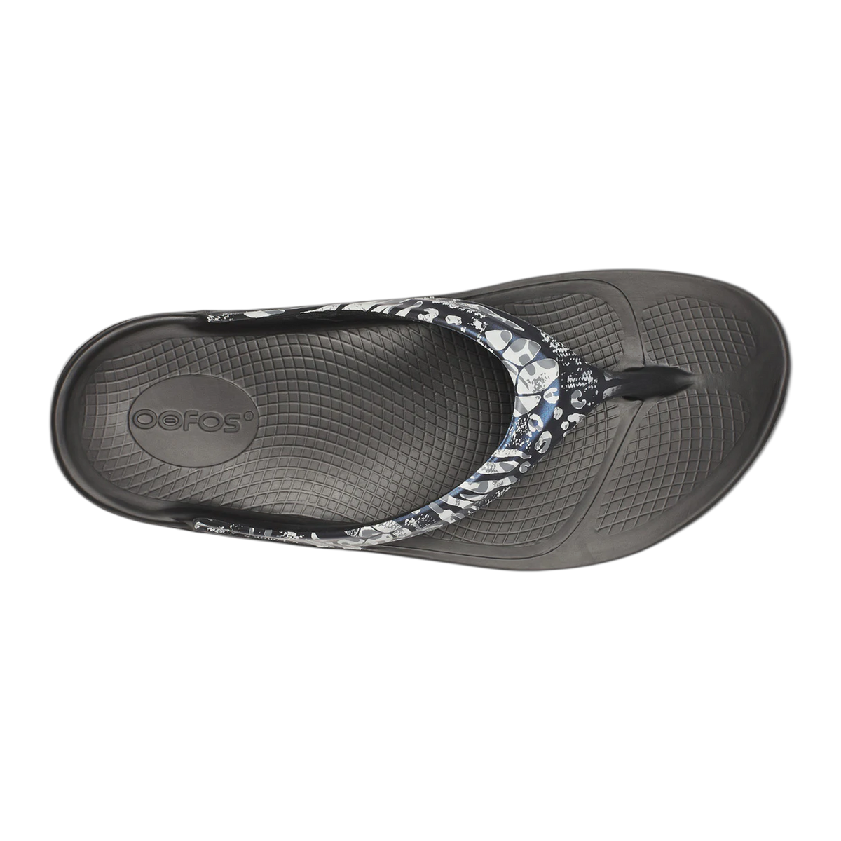 OOlala Limited Edition