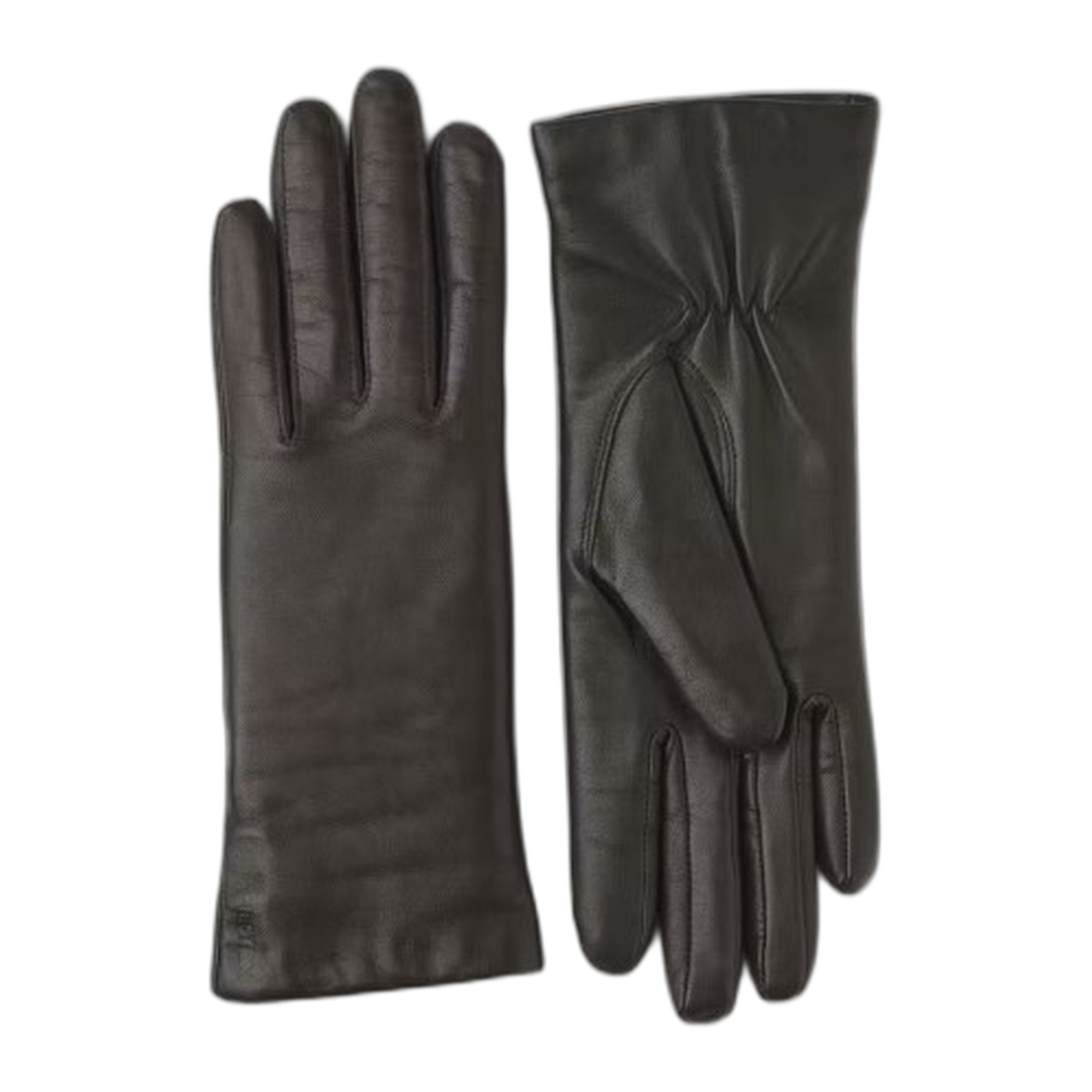Hestra - Elisabeth Glove - Espresso / 6