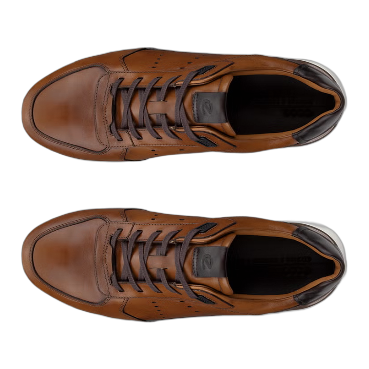 ECCO Astir Neo