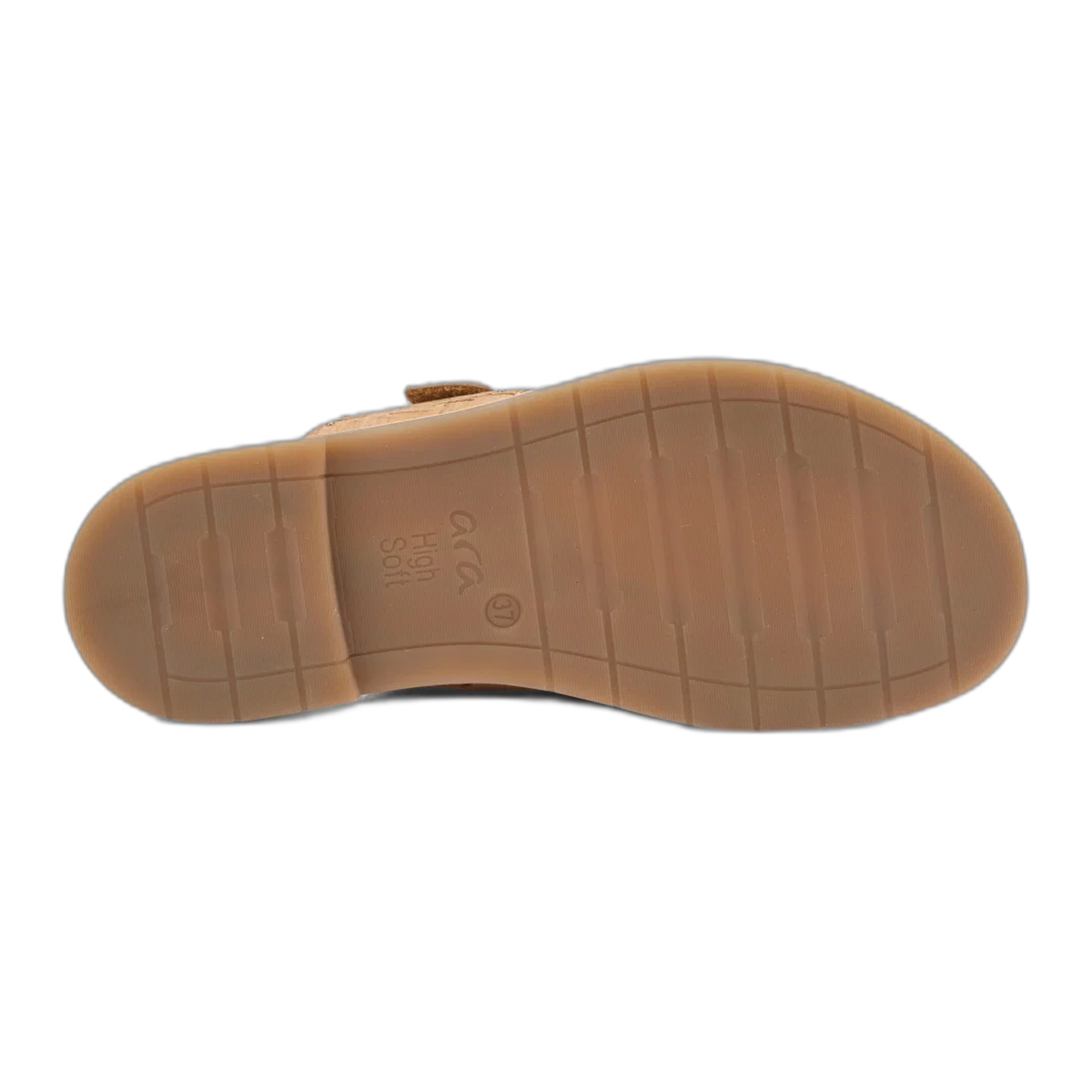 Elm
