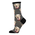 Labrador