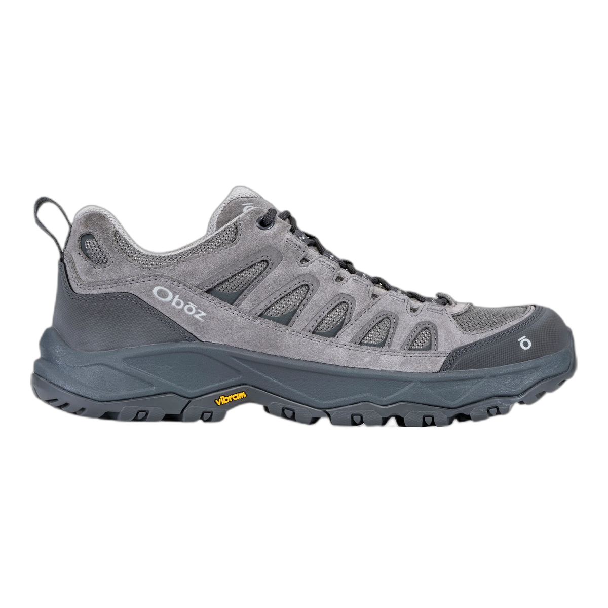 Men's Sawtooth Ascent Low