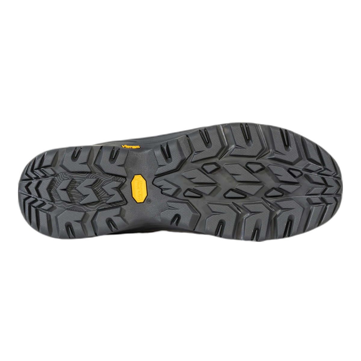 Men's Sawtooth Ascent Low