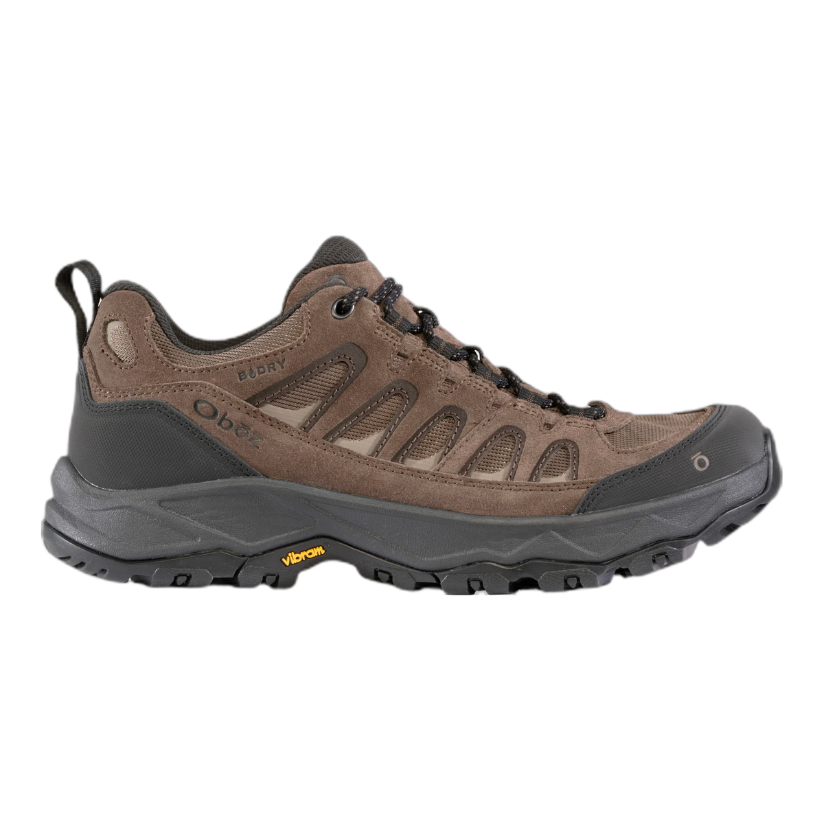 Men's Sawtooth Ascent Low Waterproof