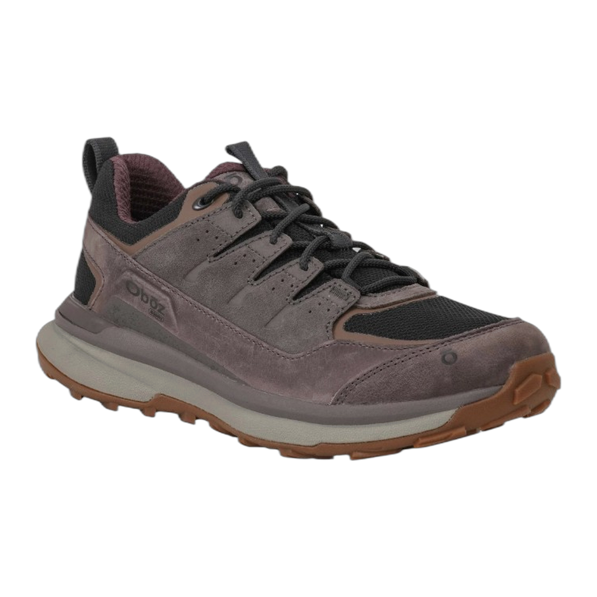 Men's Hyalite Low Waterproof