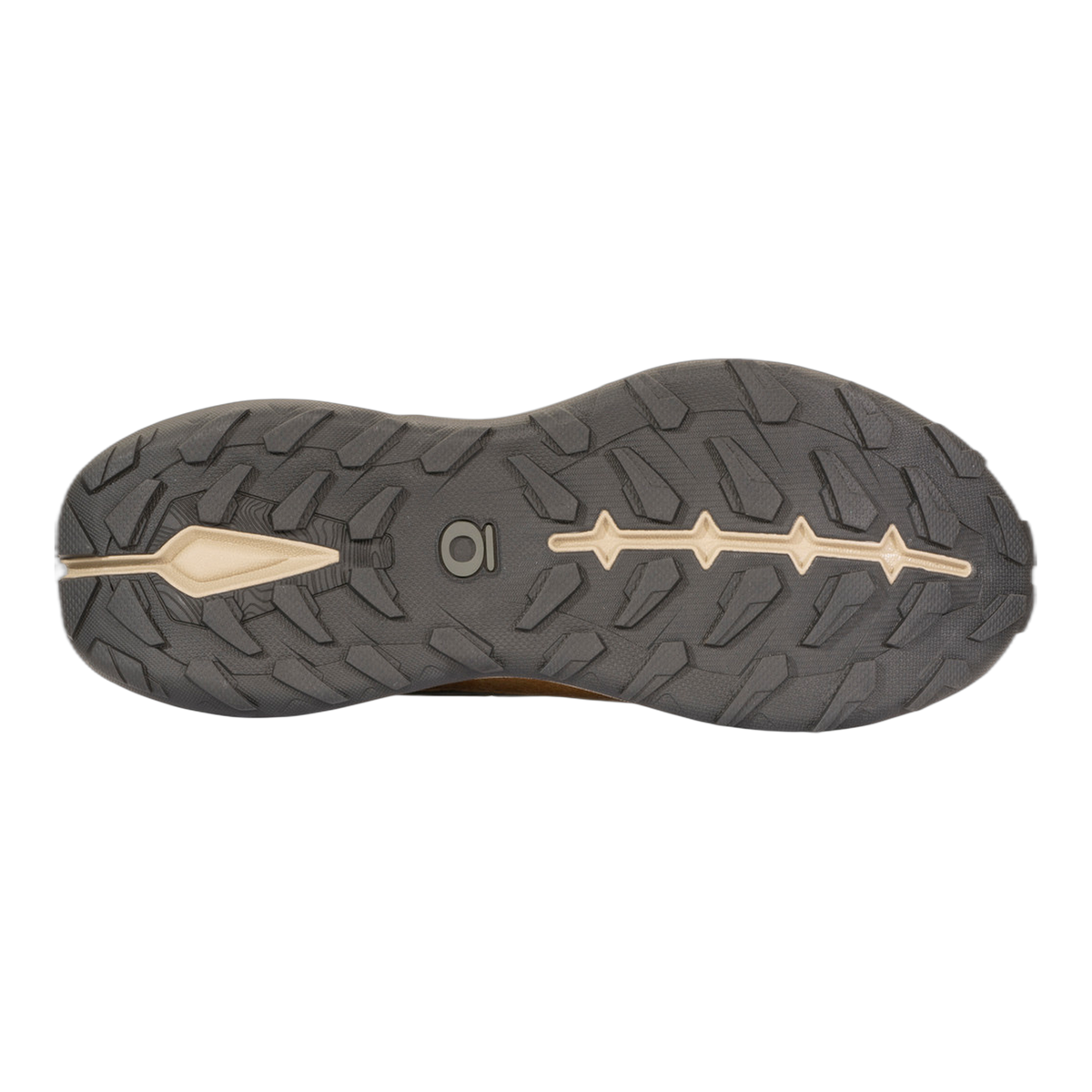 Men's Hyalite Low Waterproof