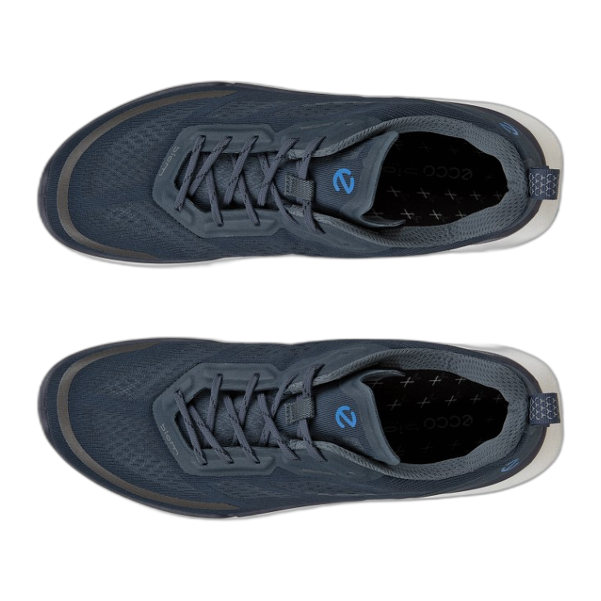 Men's Biom 2.2 Low Breathru