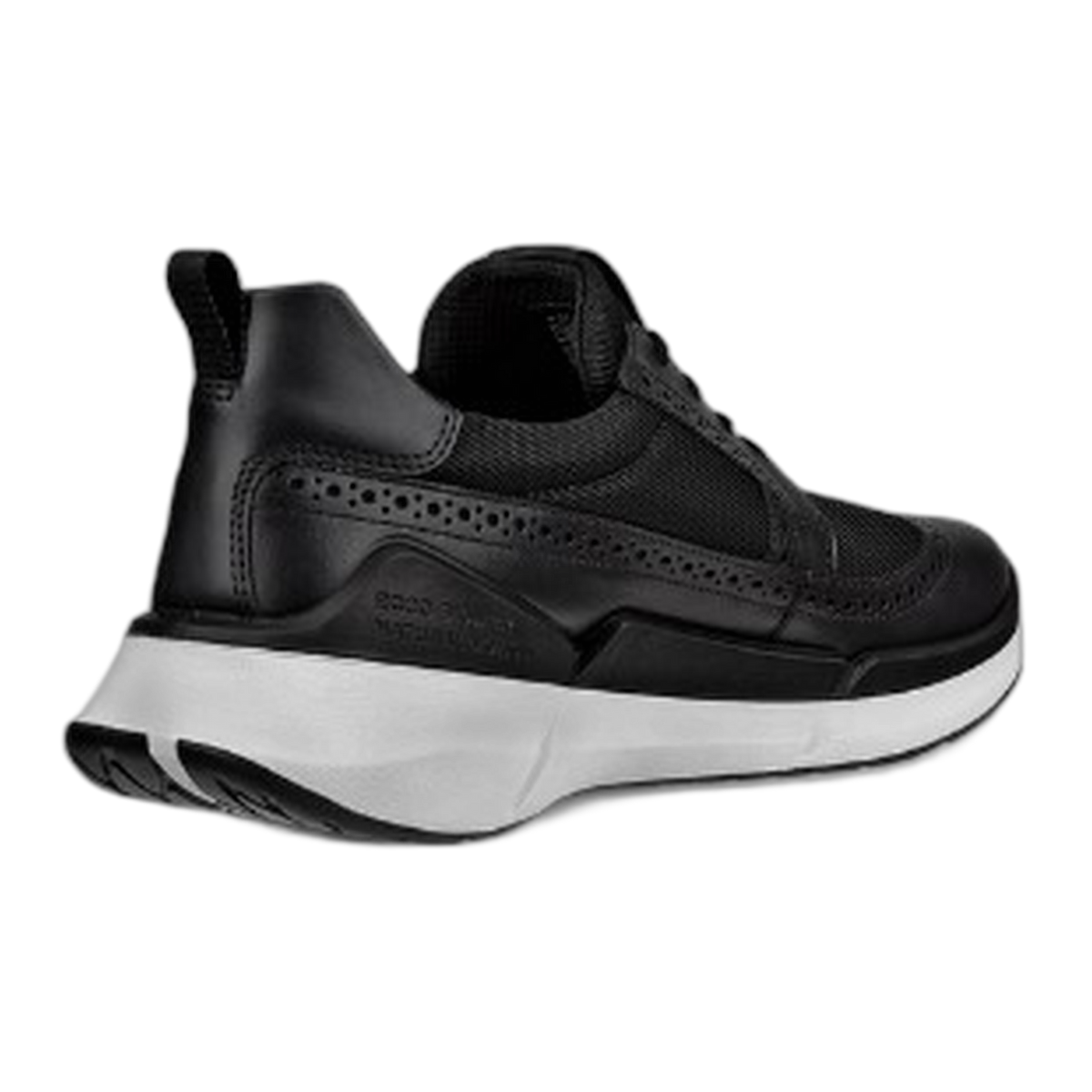 Men's BIOM 2.2 Sneaker