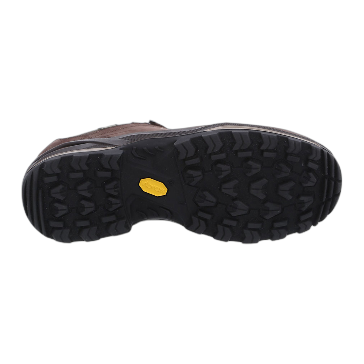 Men's Renegade GTX Lo