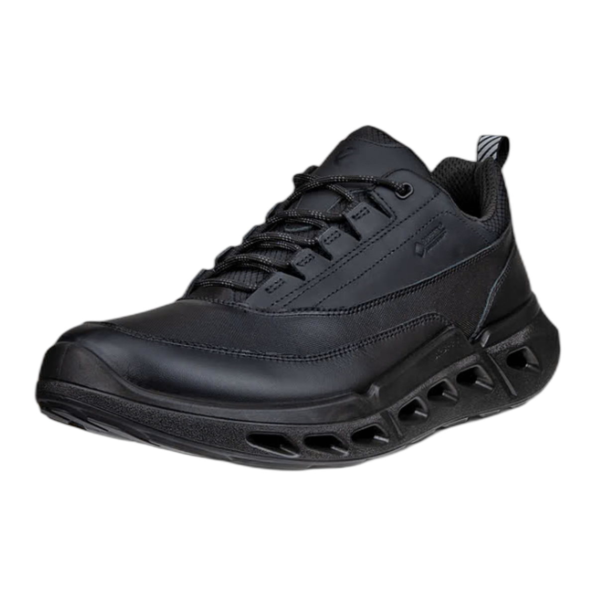 ECCO Biom 720 Gore-Tex