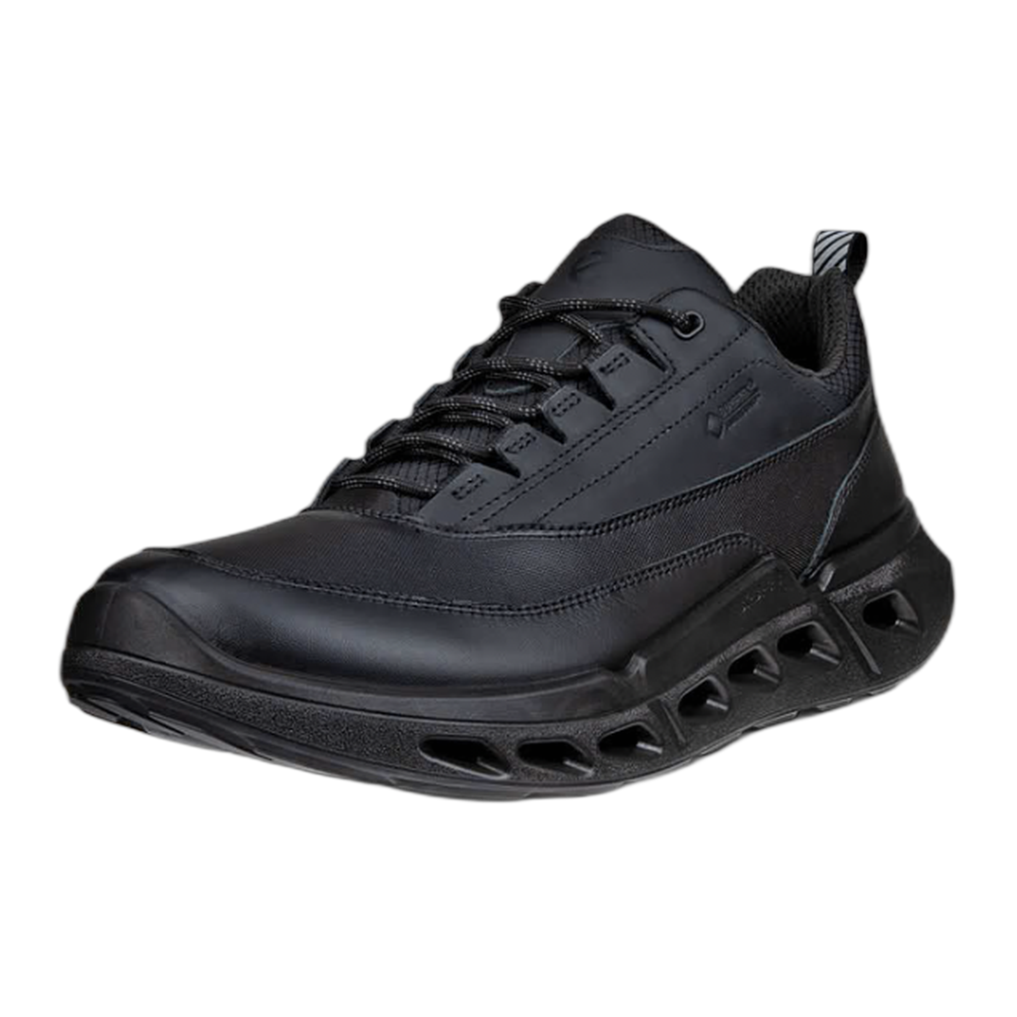 Ecco - ECCO Biom 720 Gore-Tex - Black / M / 42