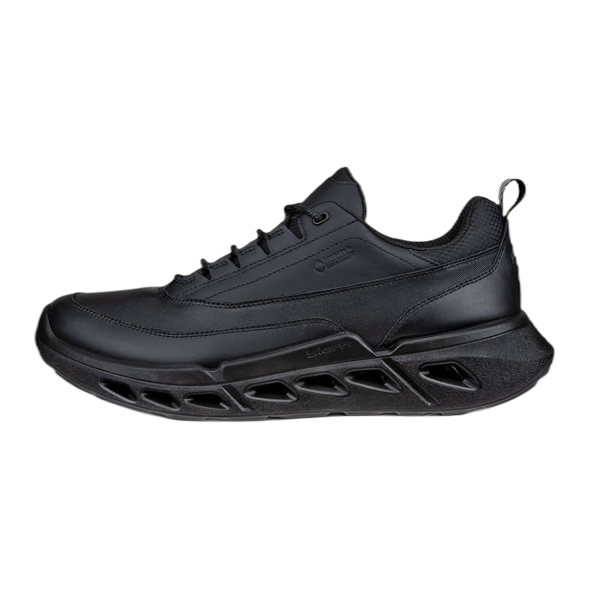 ECCO Biom 720 Gore-Tex