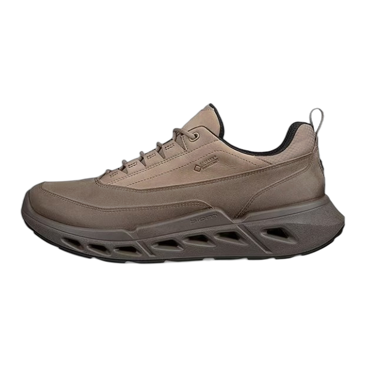 Men's BIOM 720 Low GTX Leather Sneakers
