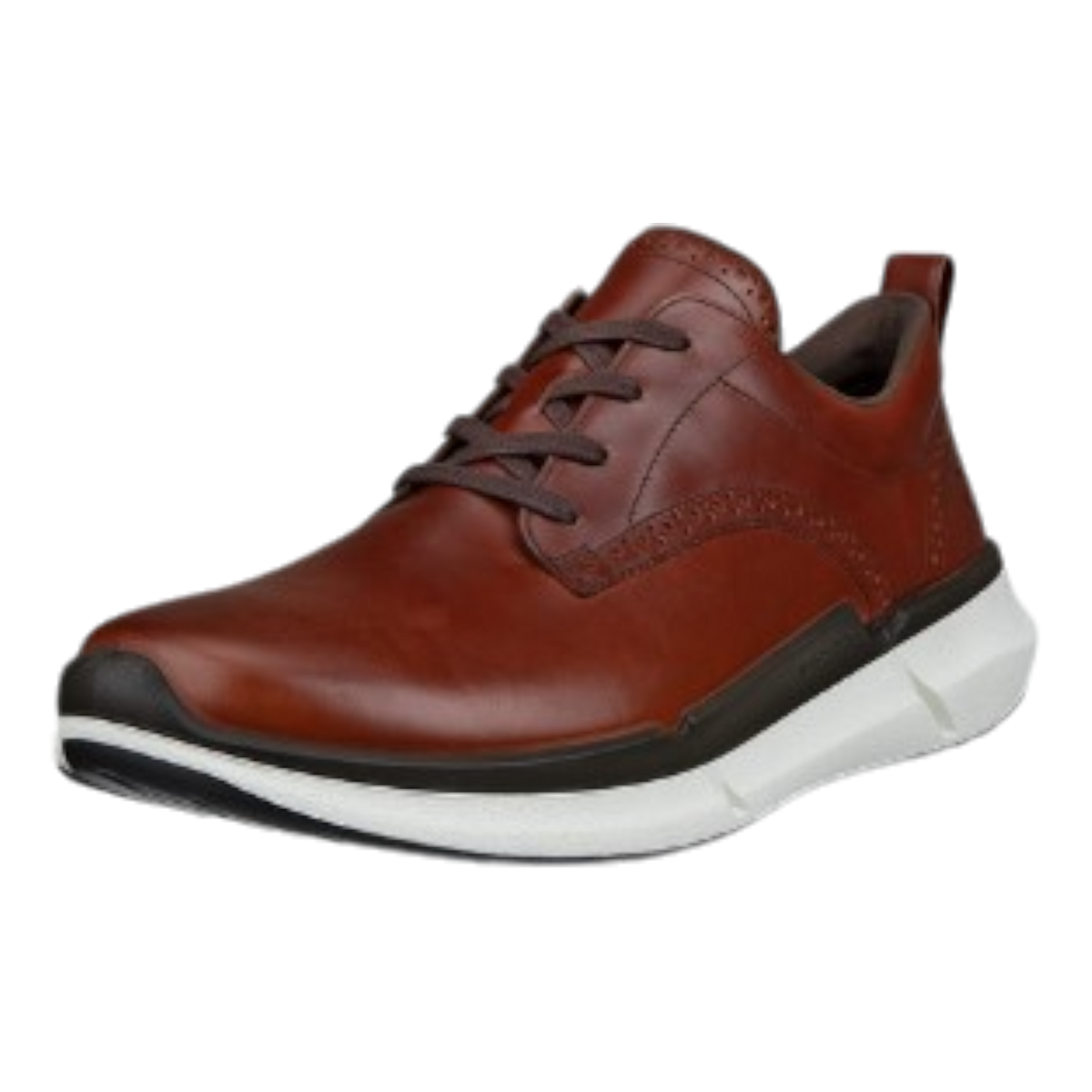 Men's BIOM 2.2 Hybrid Sneaker