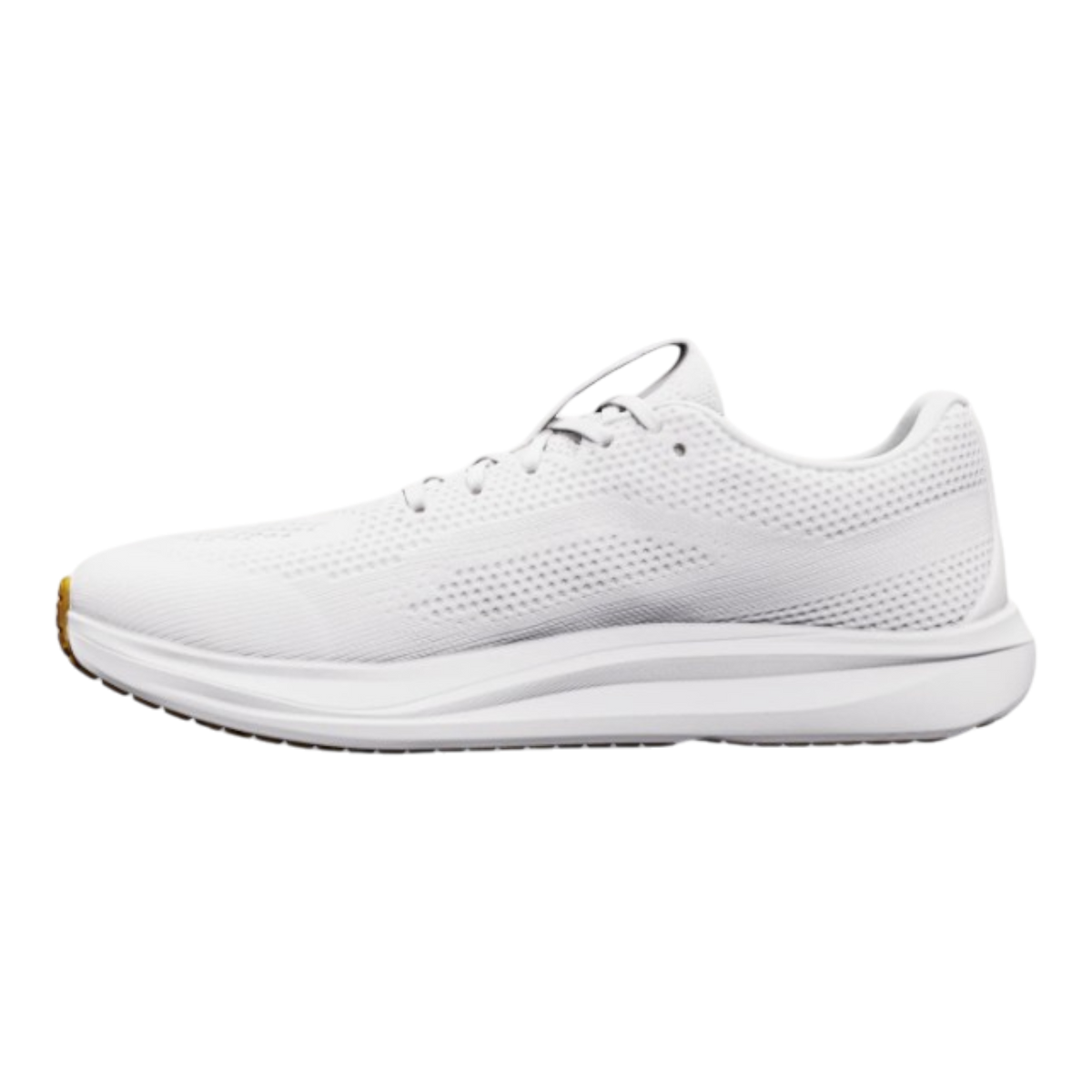Women's Escalante 5