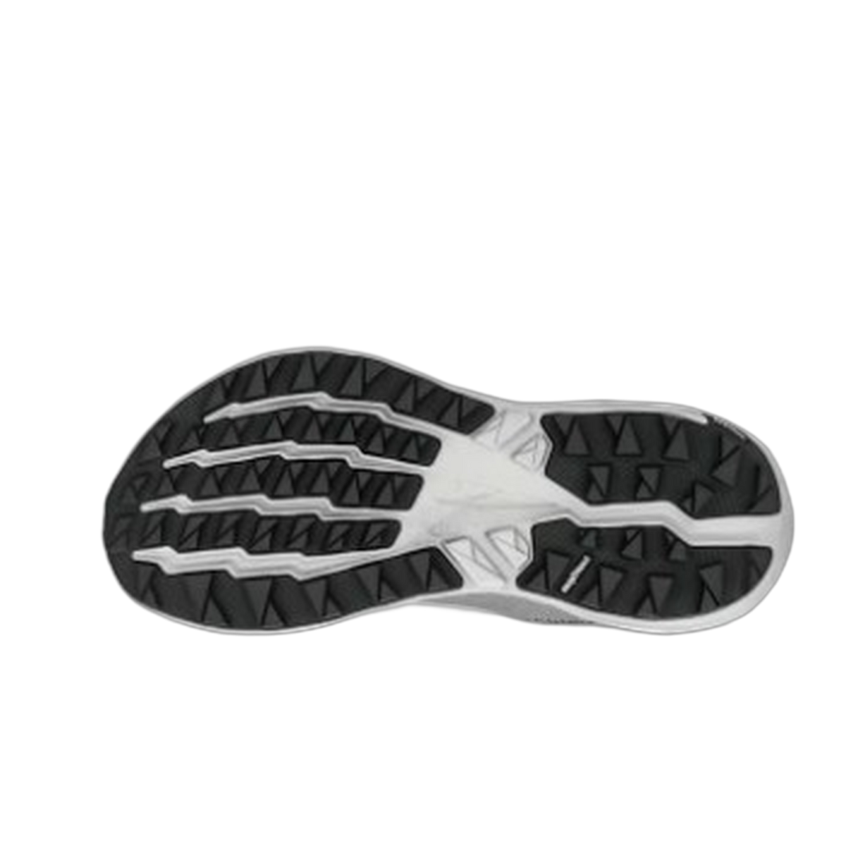 Women's Experience Wild 2