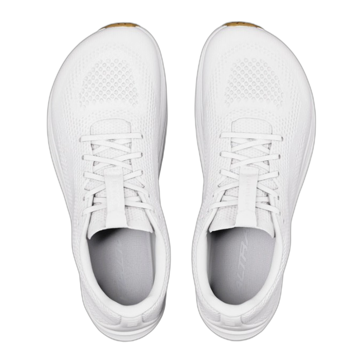 Women's Escalante 5