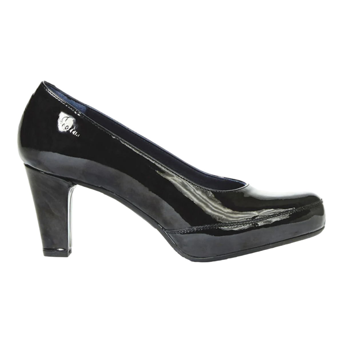 Dorking - Blesa D5794