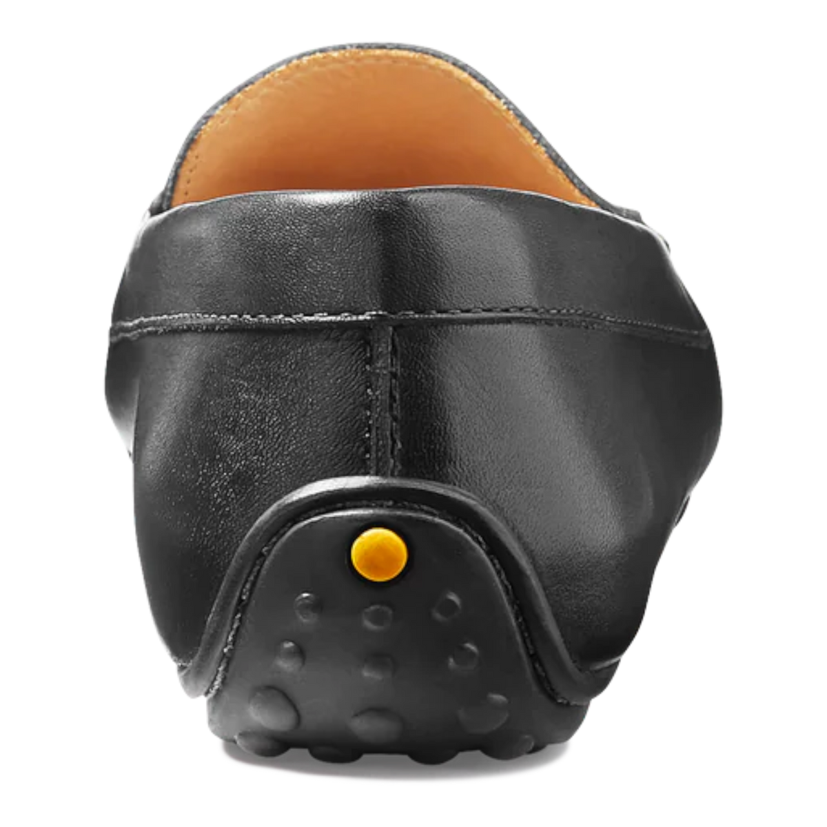 Samuel Hubbard - Free Spirit for Her