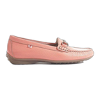 Bruni F0443