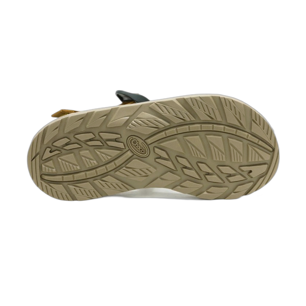 Men's Z/Cloud Adjustable Strap Cushioned Sandal