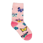 Butterfly Migration (4-7 Years)