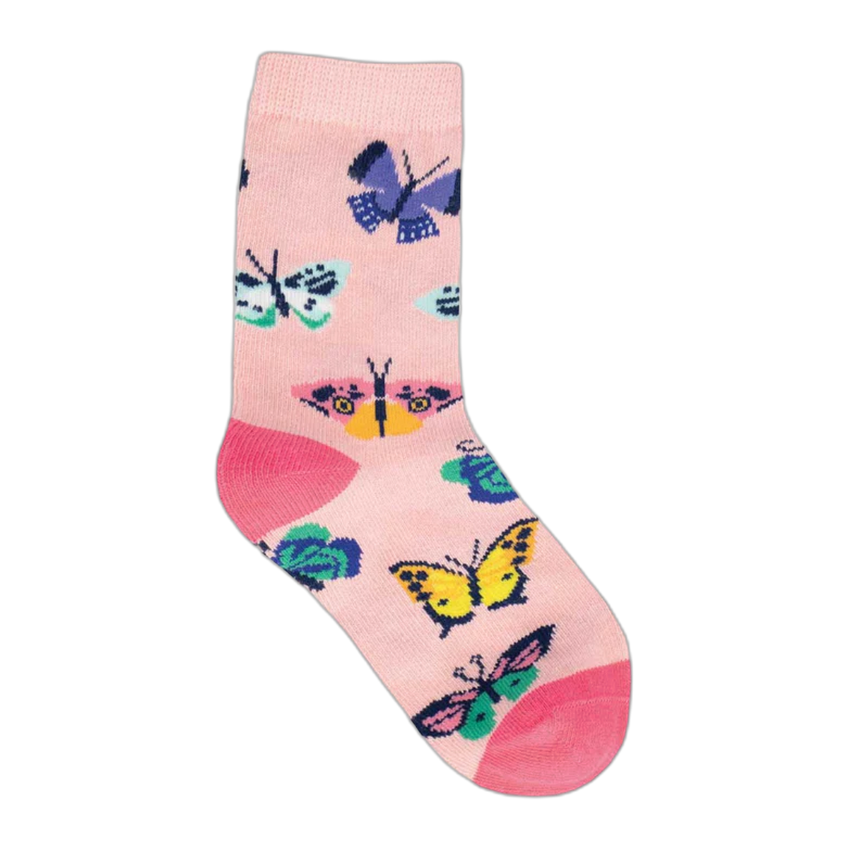 Butterfly Migration (4-7 Years)