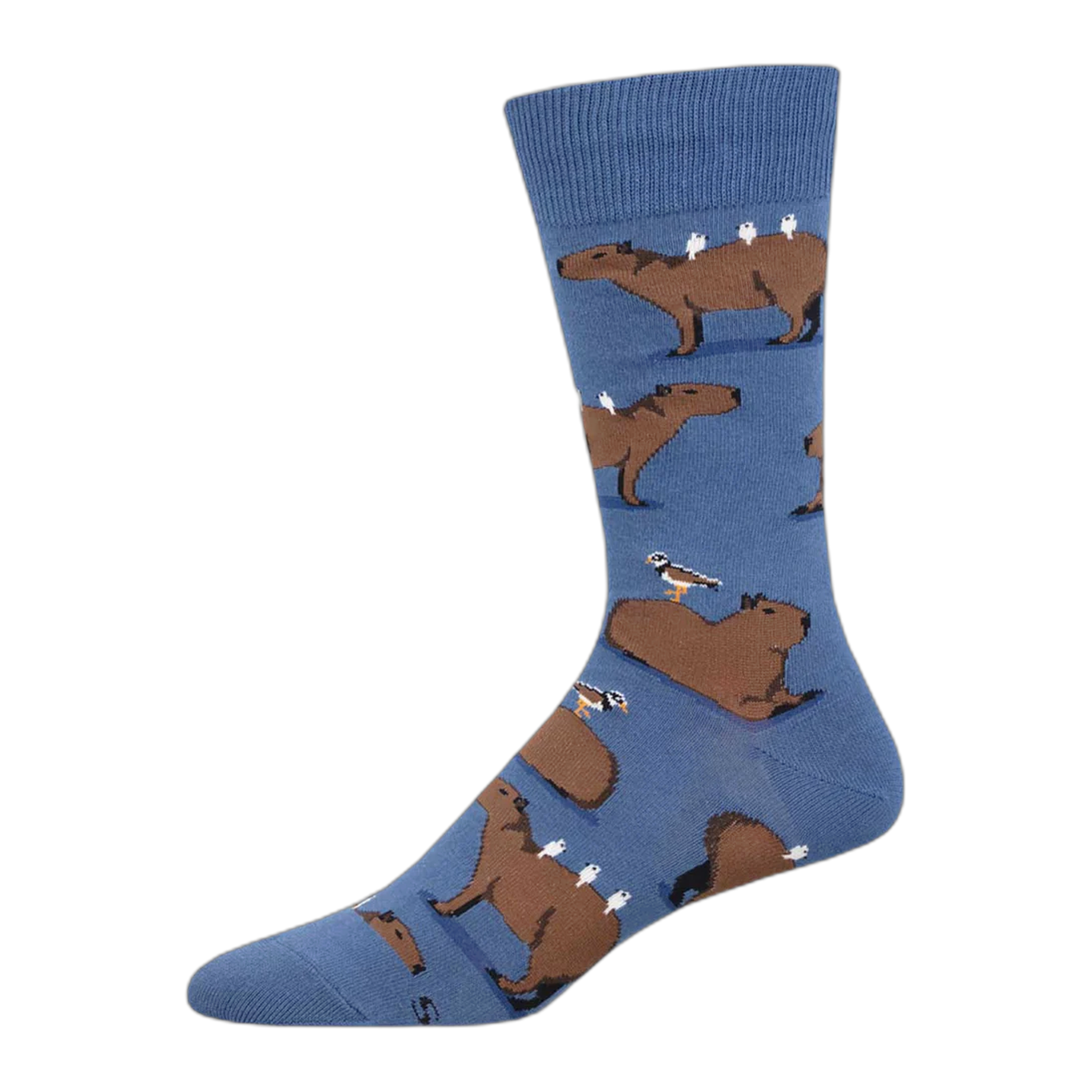 Socksmith - Capybara - Blue / One Size
