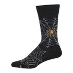 Spider Webs