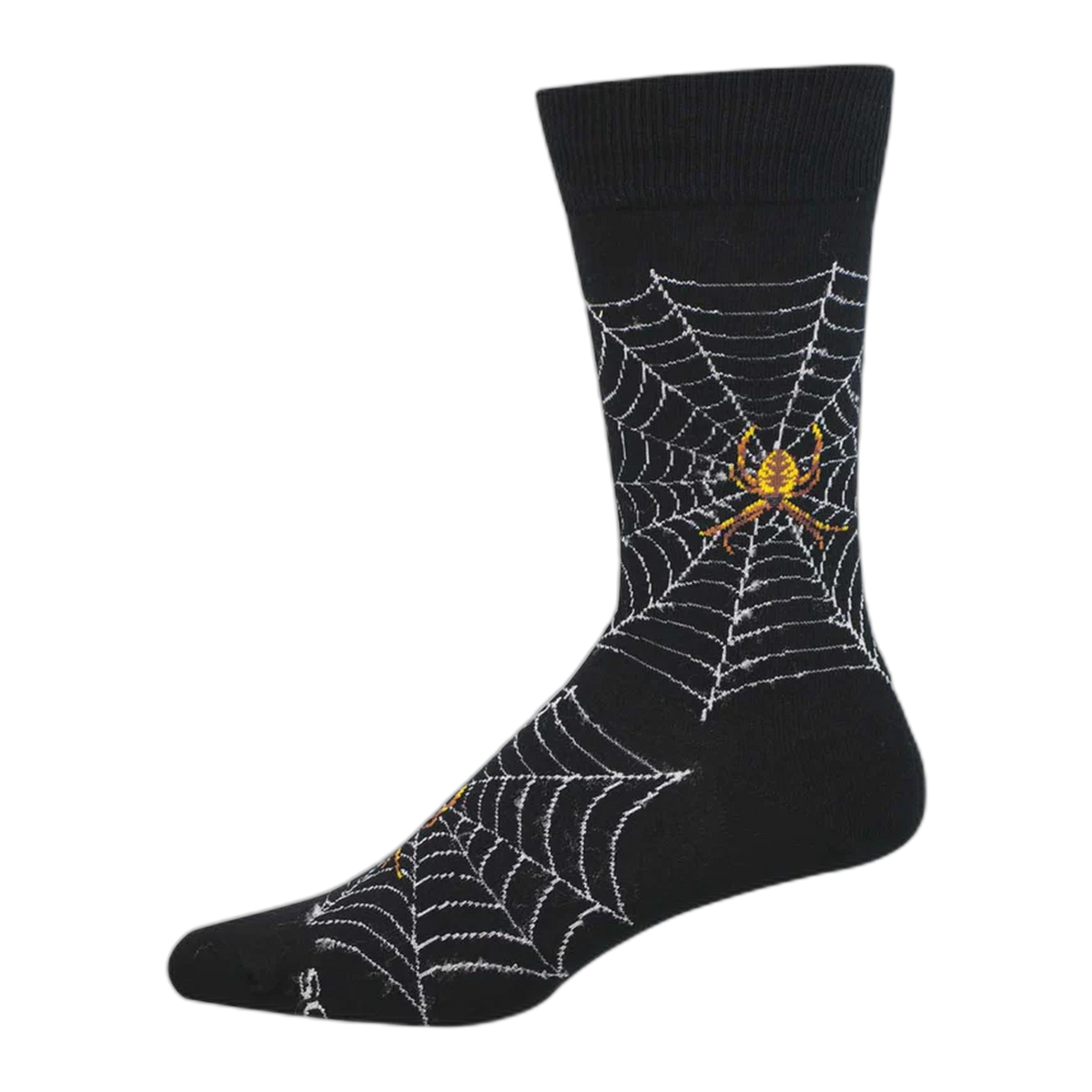 Spider Webs