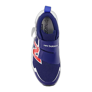 DynaSoft Reveal v4 BOA®