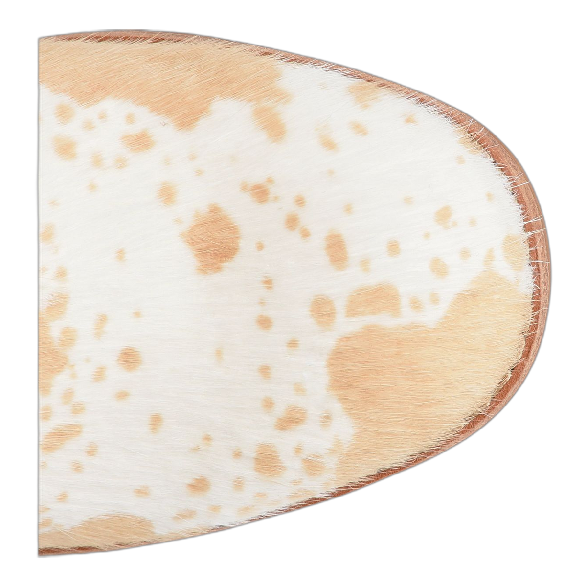 Sacora