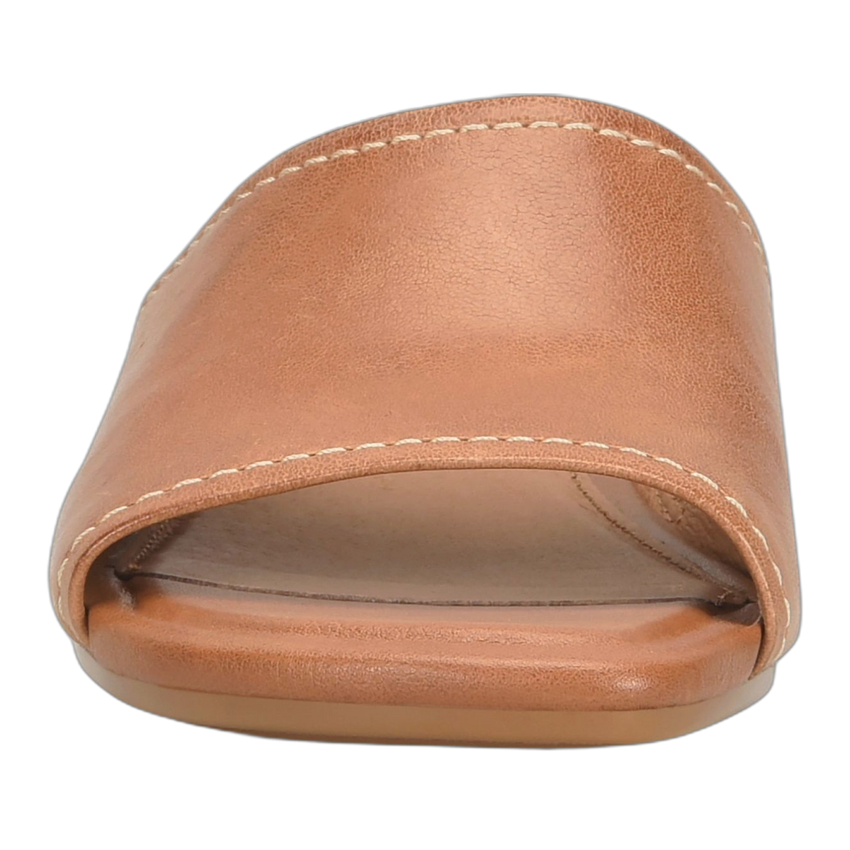 Sahara