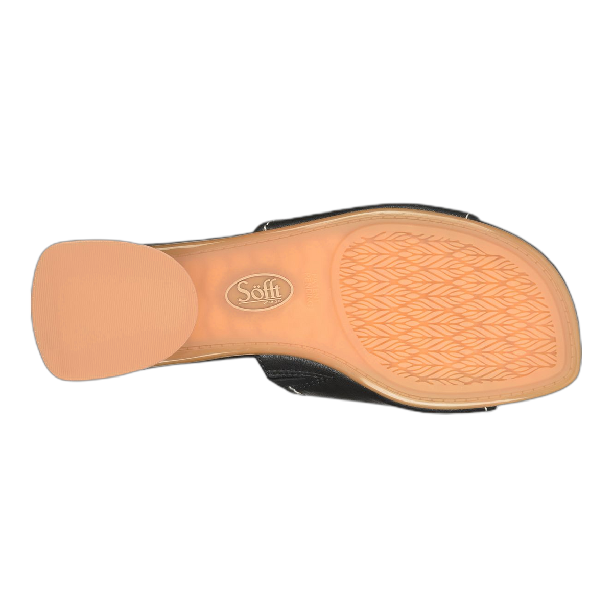 Sahara