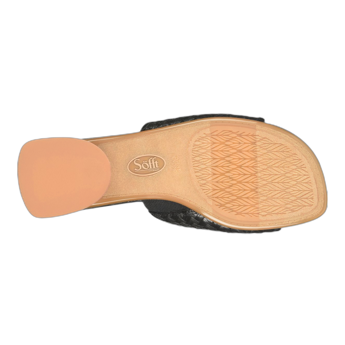 Sahara