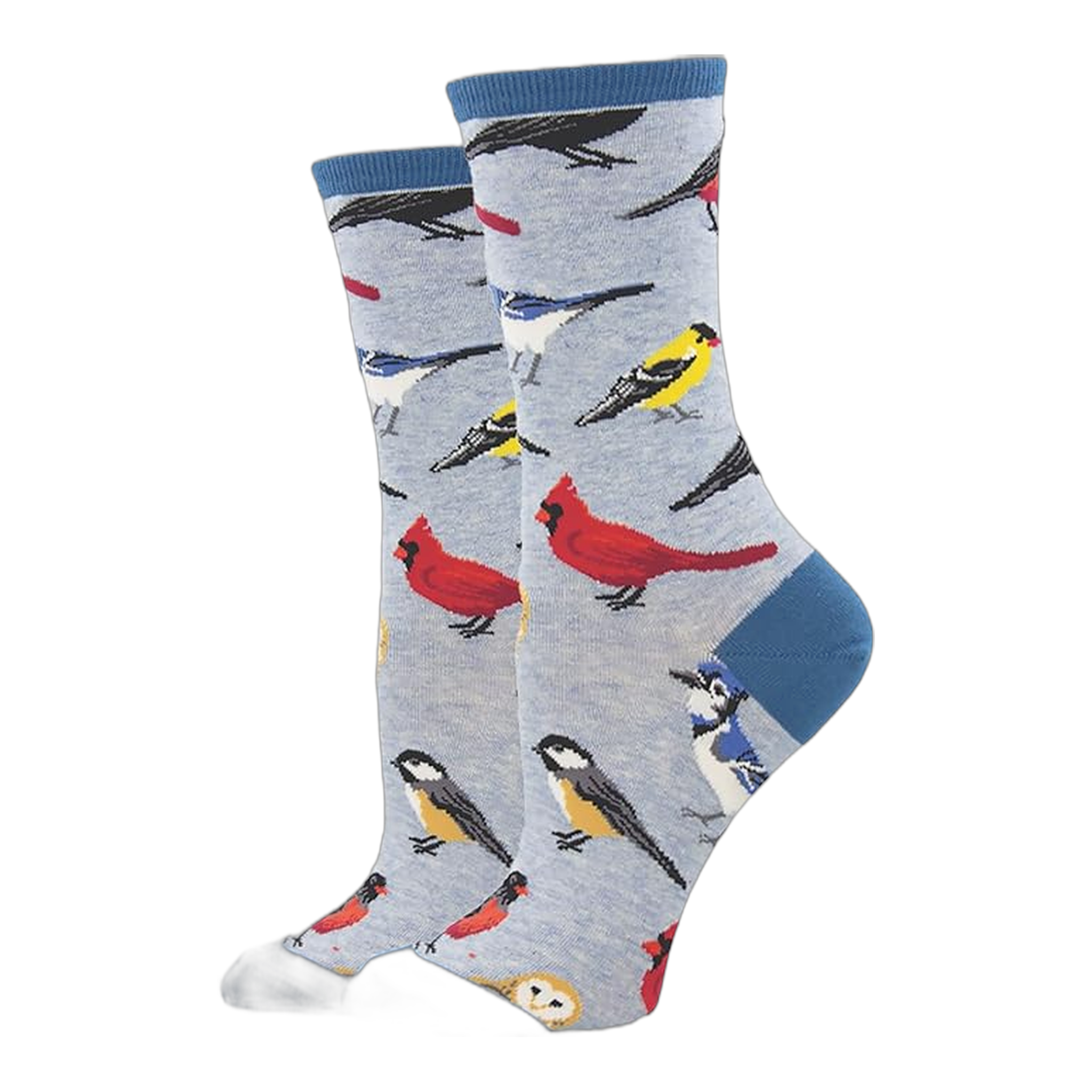 Socksmith - Bird Is The Word - Blue Heather / One Size