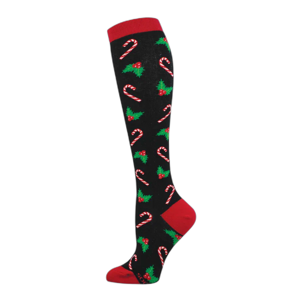Candy Canes & Holly