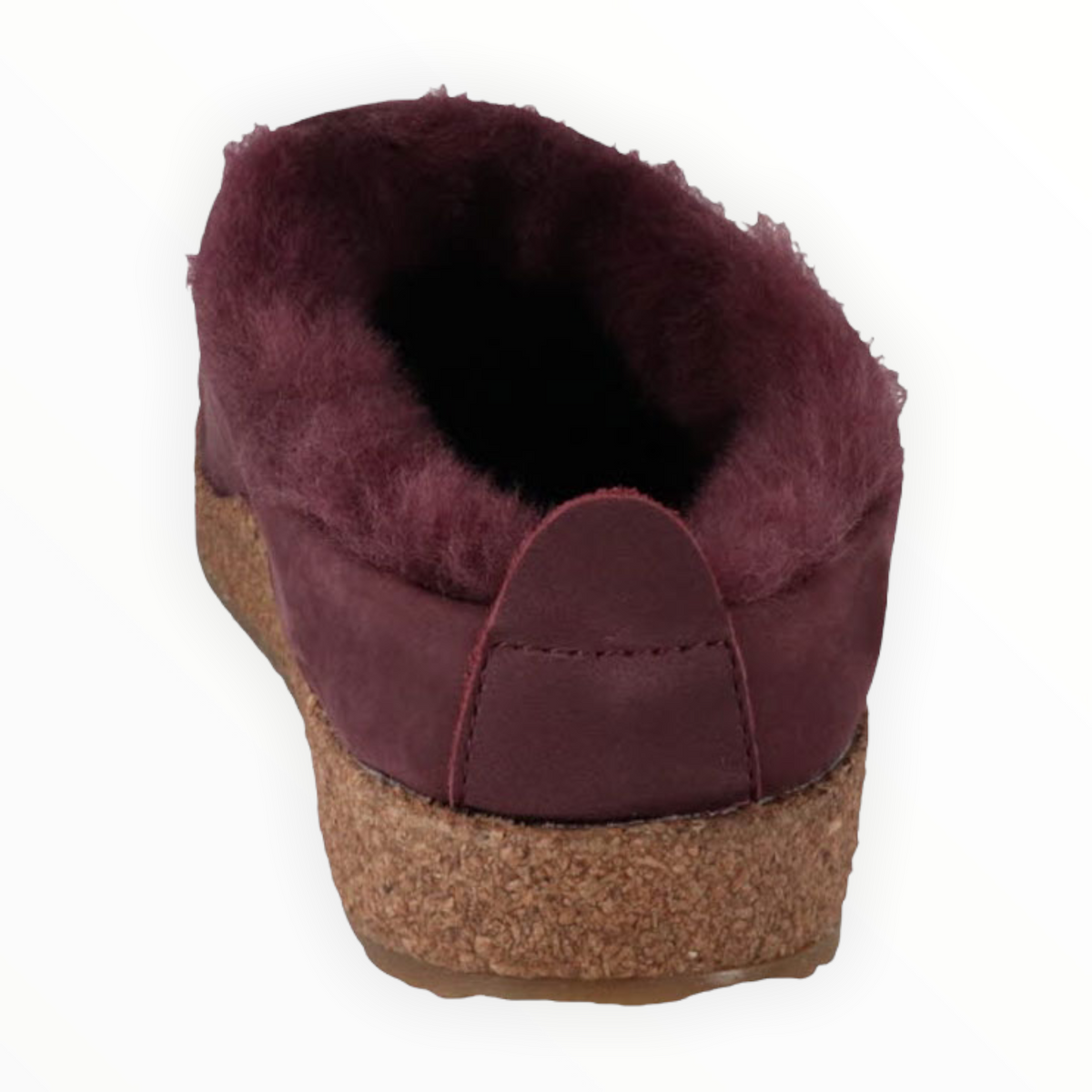 Haflinger - Snowbird