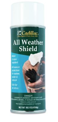 Cadillac - All Weather Shield