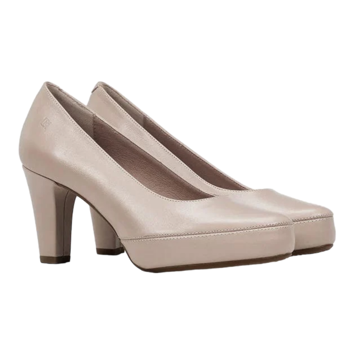 Dorking - Blesa D5794