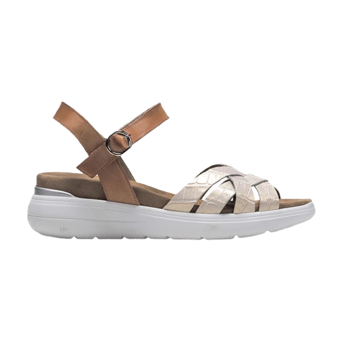 Dorking - Rock D8518