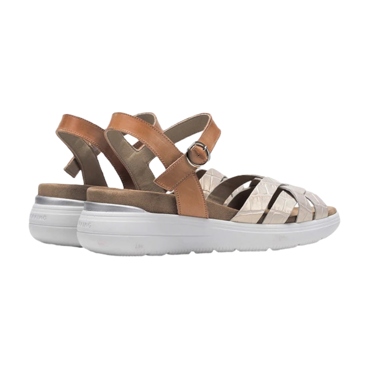 Dorking - Rock D8518