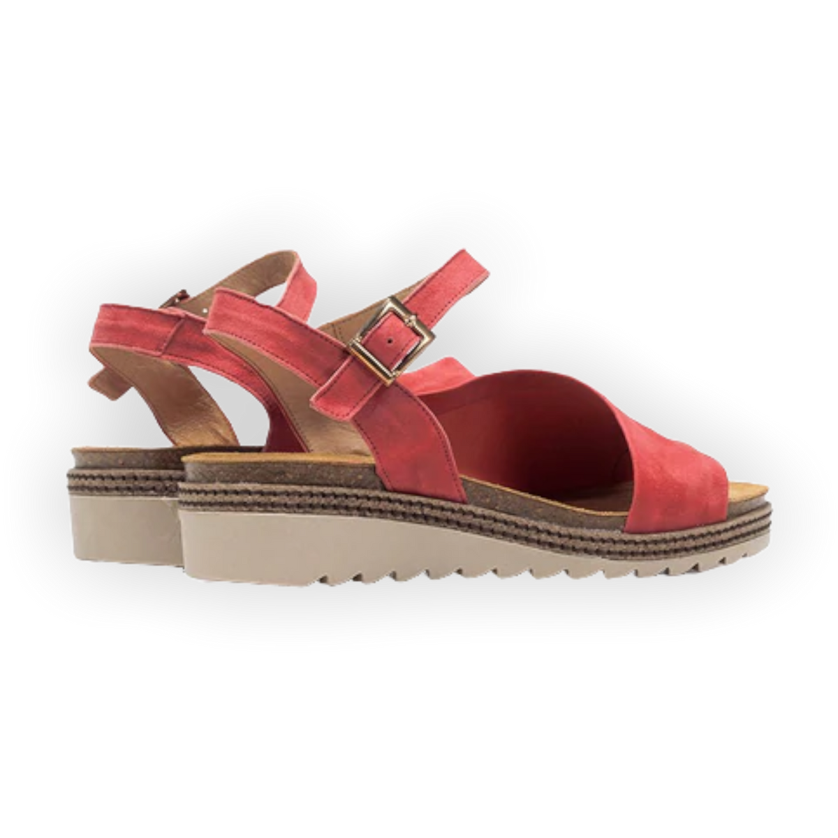 Dorking - ESPE D8540