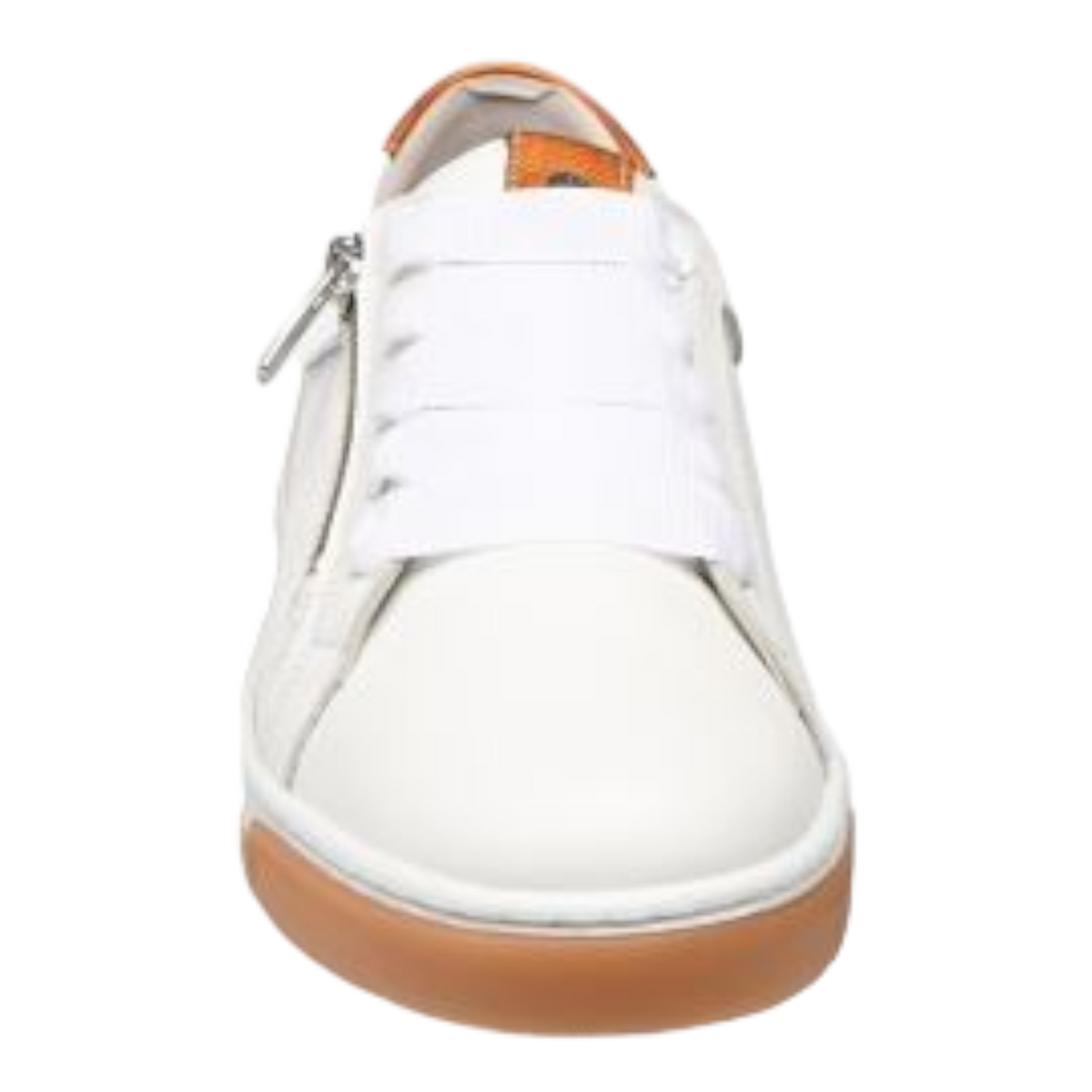 Dorking - Carol D8727