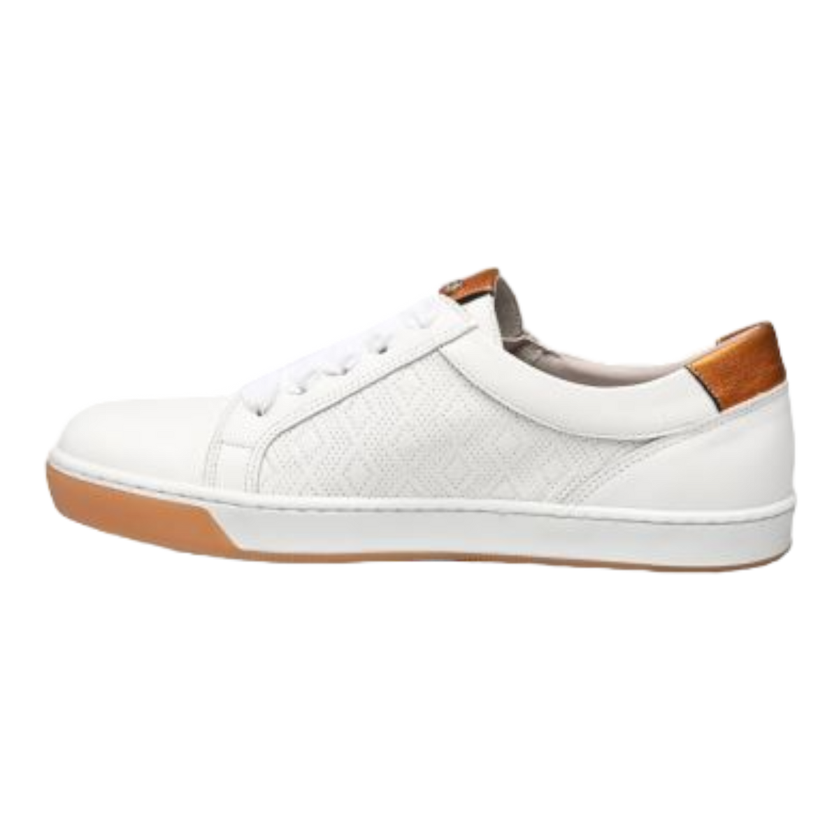 Dorking - Carol D8727